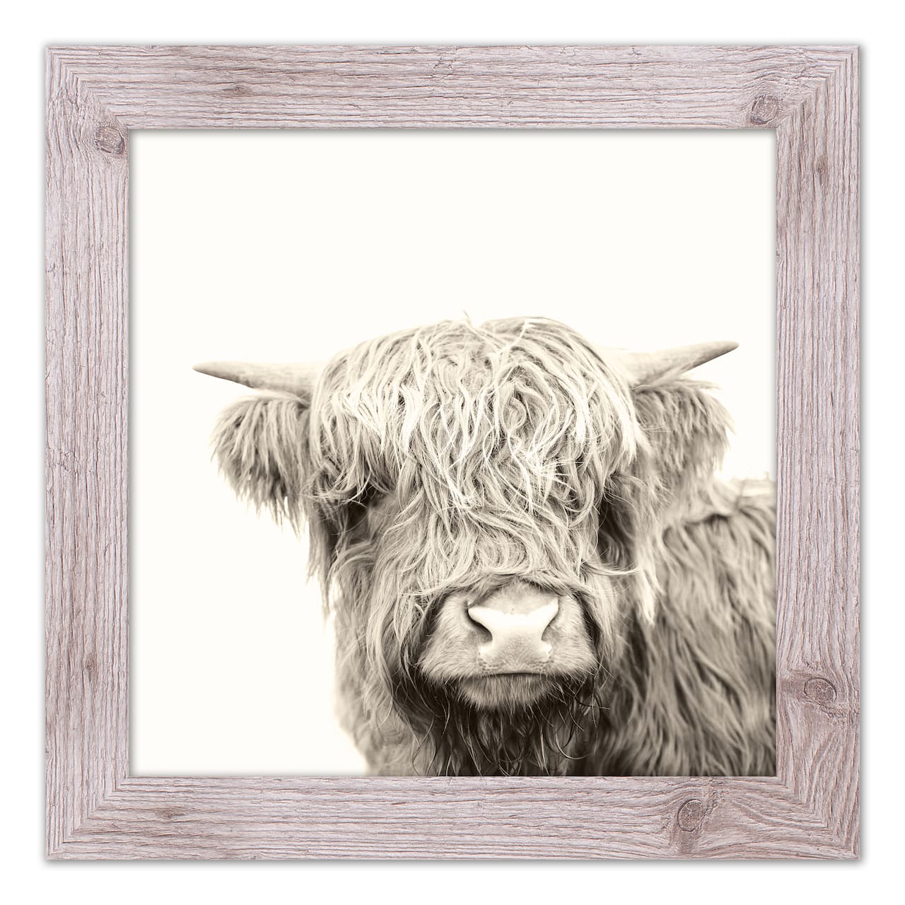 Shaggy Bangs Highland Cow Framed Print Wall Hanging